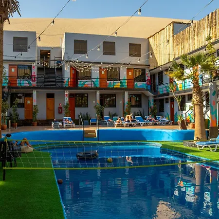 Wild Rover Huacachina-3